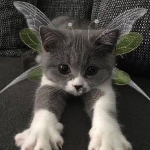 Meet your Posher, Eddie